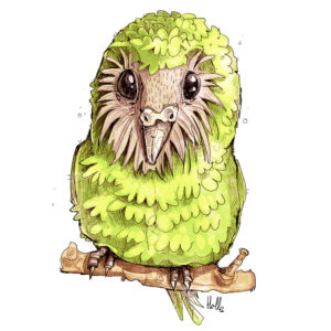 Kakapo T-Shirt